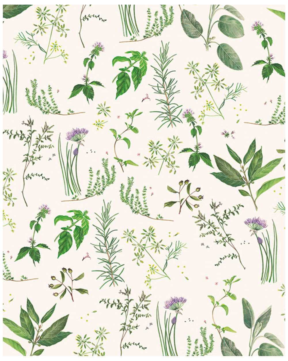 Wrap - Aromatic Herbs