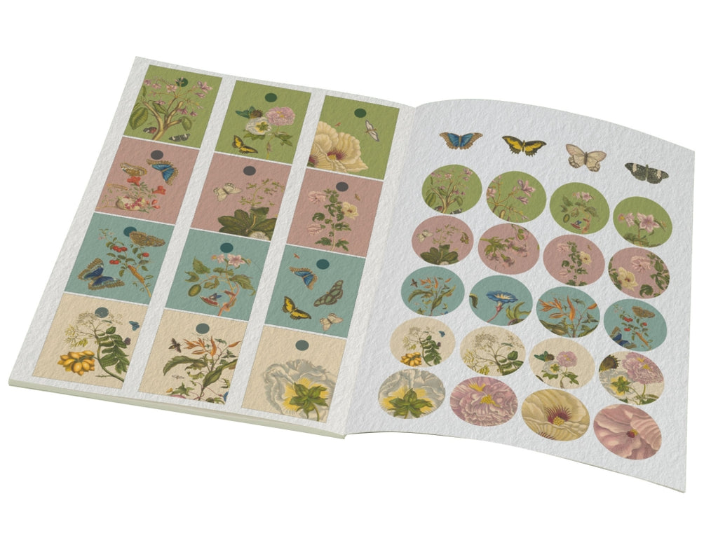 BB - Gift Wrap Book - Maria Sibylla Meriar - Rijksmuseum