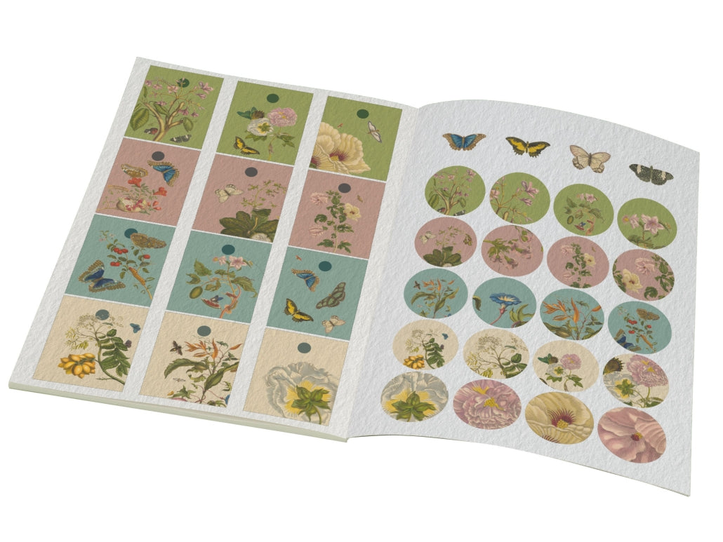 BB - Gift Wrap Book - Maria Sibylla Meriar - Rijksmuseum