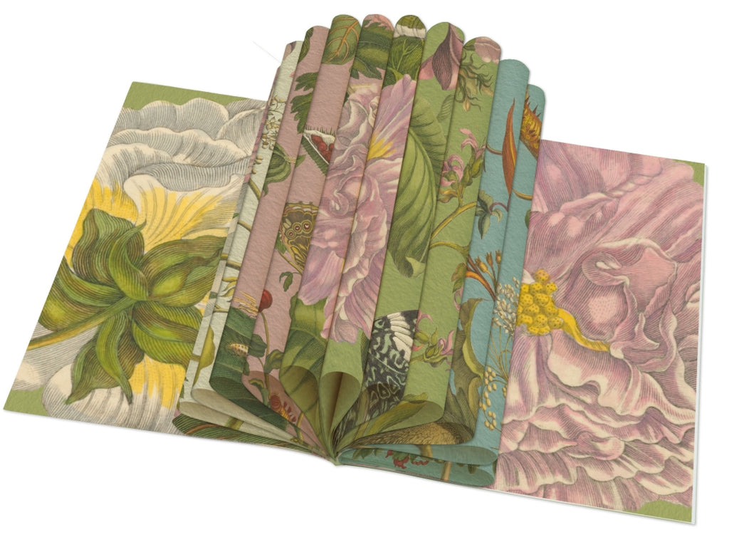 BB - Gift Wrap Book - Maria Sibylla Meriar - Rijksmuseum