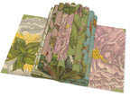 BB - Gift Wrap Book - Maria Sibylla Meriar - Rijksmuseum