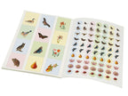 Gift Wrap Book - Flora & Fauna, The Fitzwilliam Museum