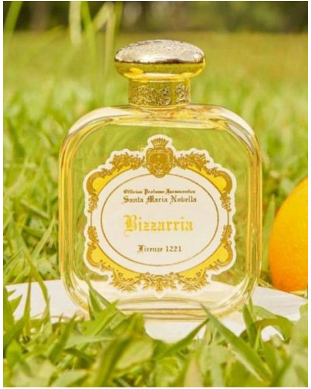 Bizzaria - Eau de Parfum - 50 ml