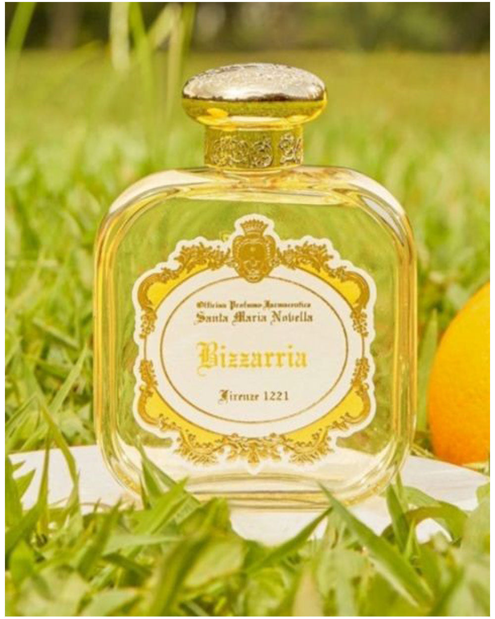Bizzaria - Eau de Parfum - 50 ml