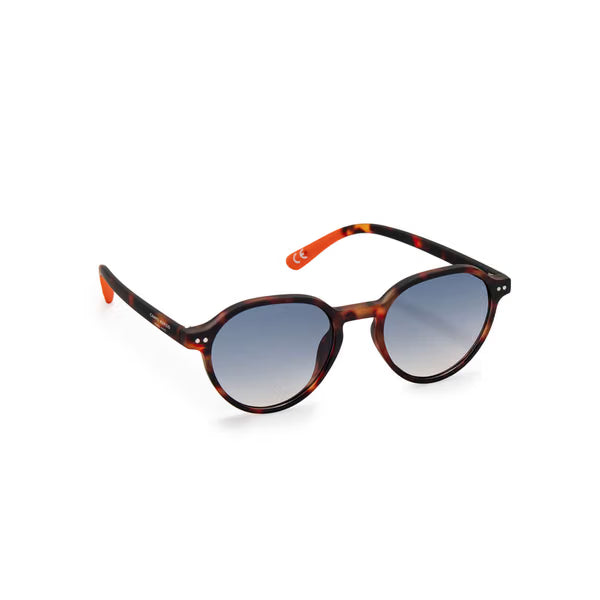 CM - Immanuel Sunglasses - Tortoise