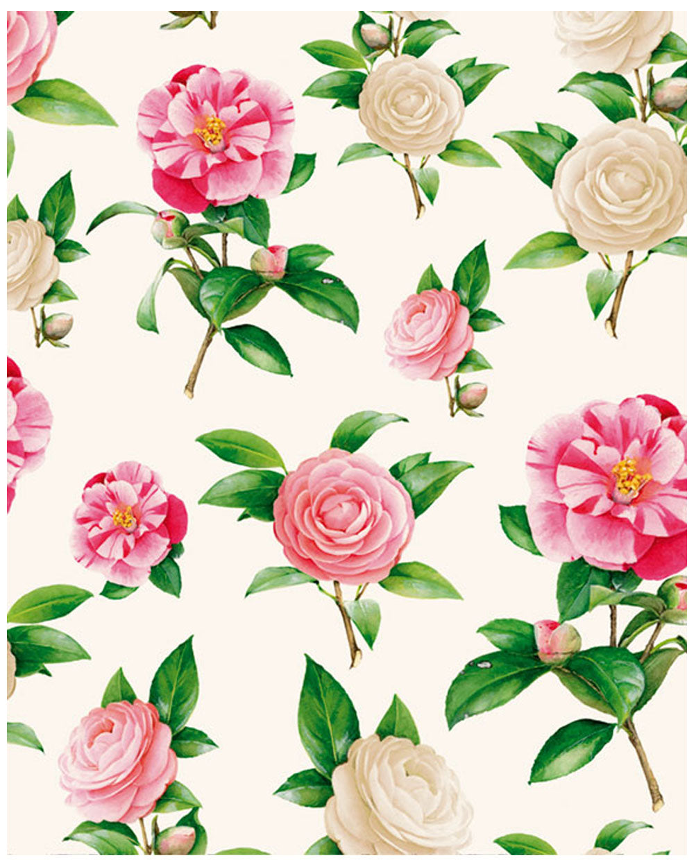 Wrap - Camelias