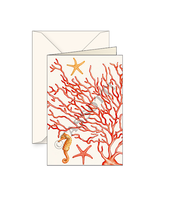 Card T - Coral
