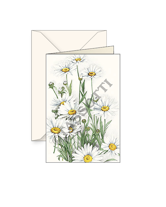 Card T - Daisies