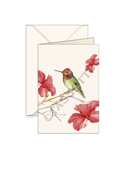 Card T - Hummingbird