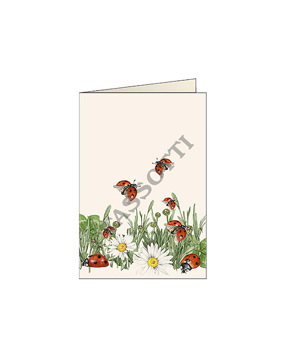 Card T - Ladybirds