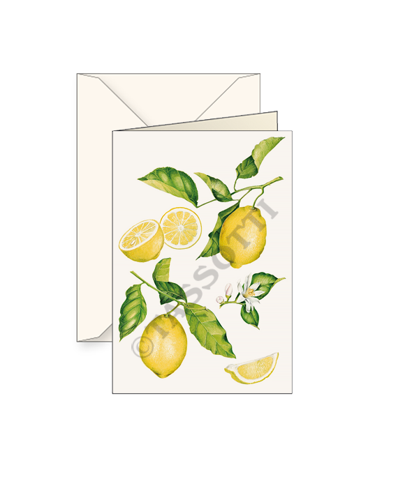 Card T - Lemons