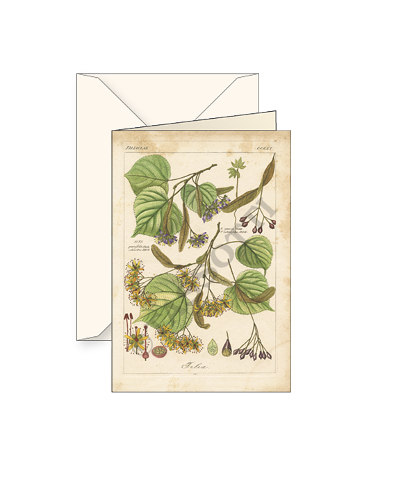 Card T - Linden Leaves
