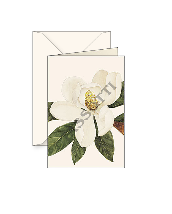 Card T - Magnolia