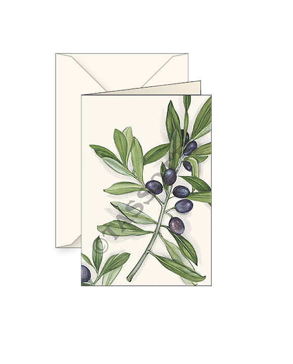 Card T - Olives