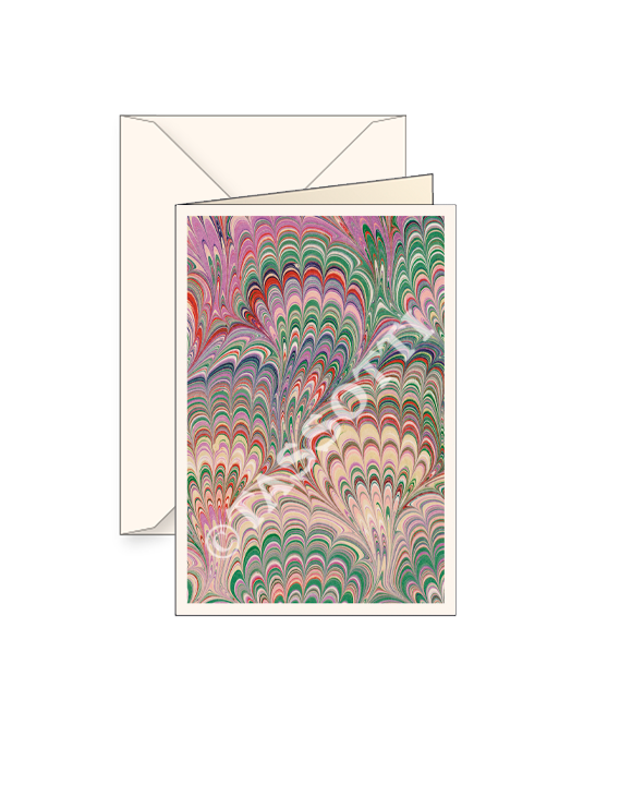 Card T - Pavonata Rosa-Viola