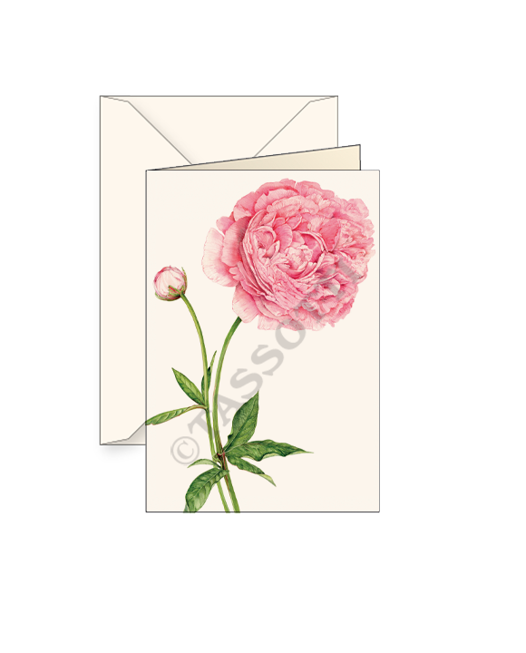 Card T - Pink Peony