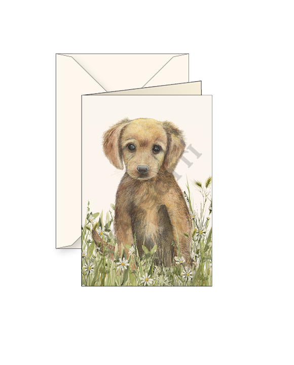 Card T - Puppy