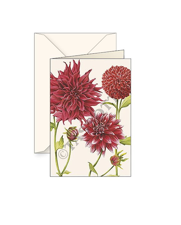 Card T - Red Dahlias