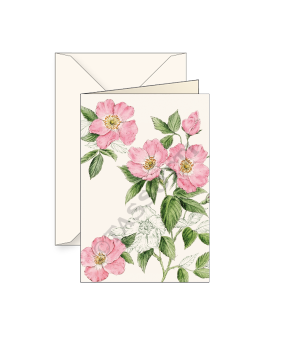 Card T - Rosa Canina