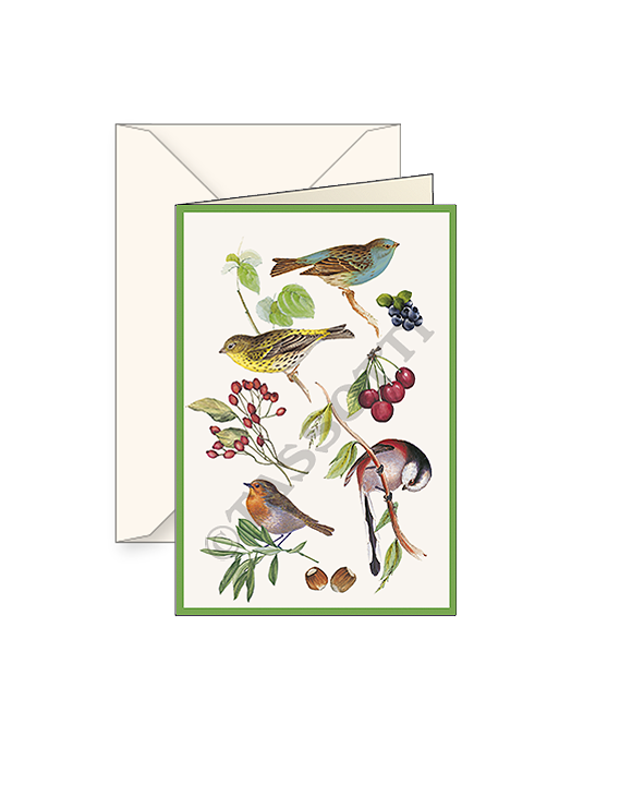 Card T - Songbirds