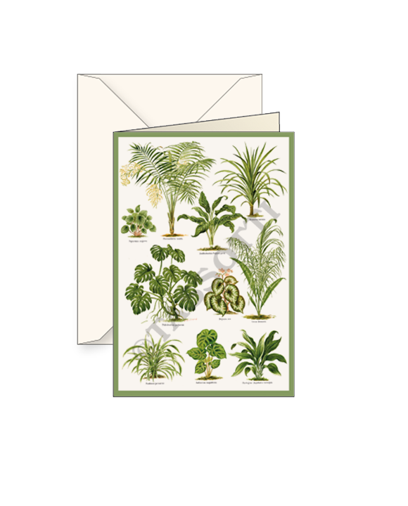 Card T - Tropical Plants