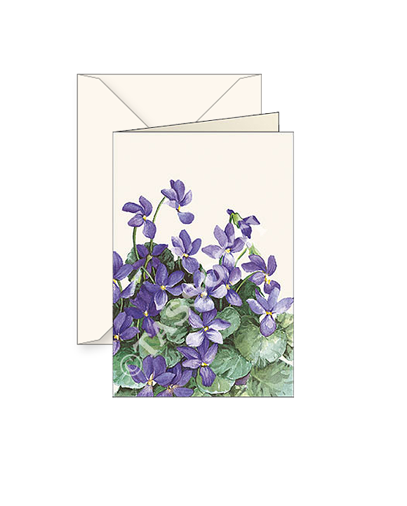 Card T - Violets