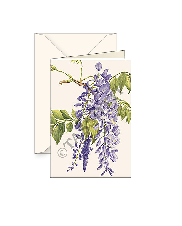 Card T - Wisteria