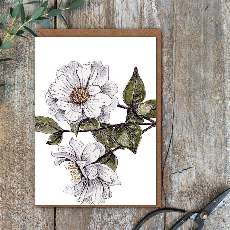 Card - White Camelia