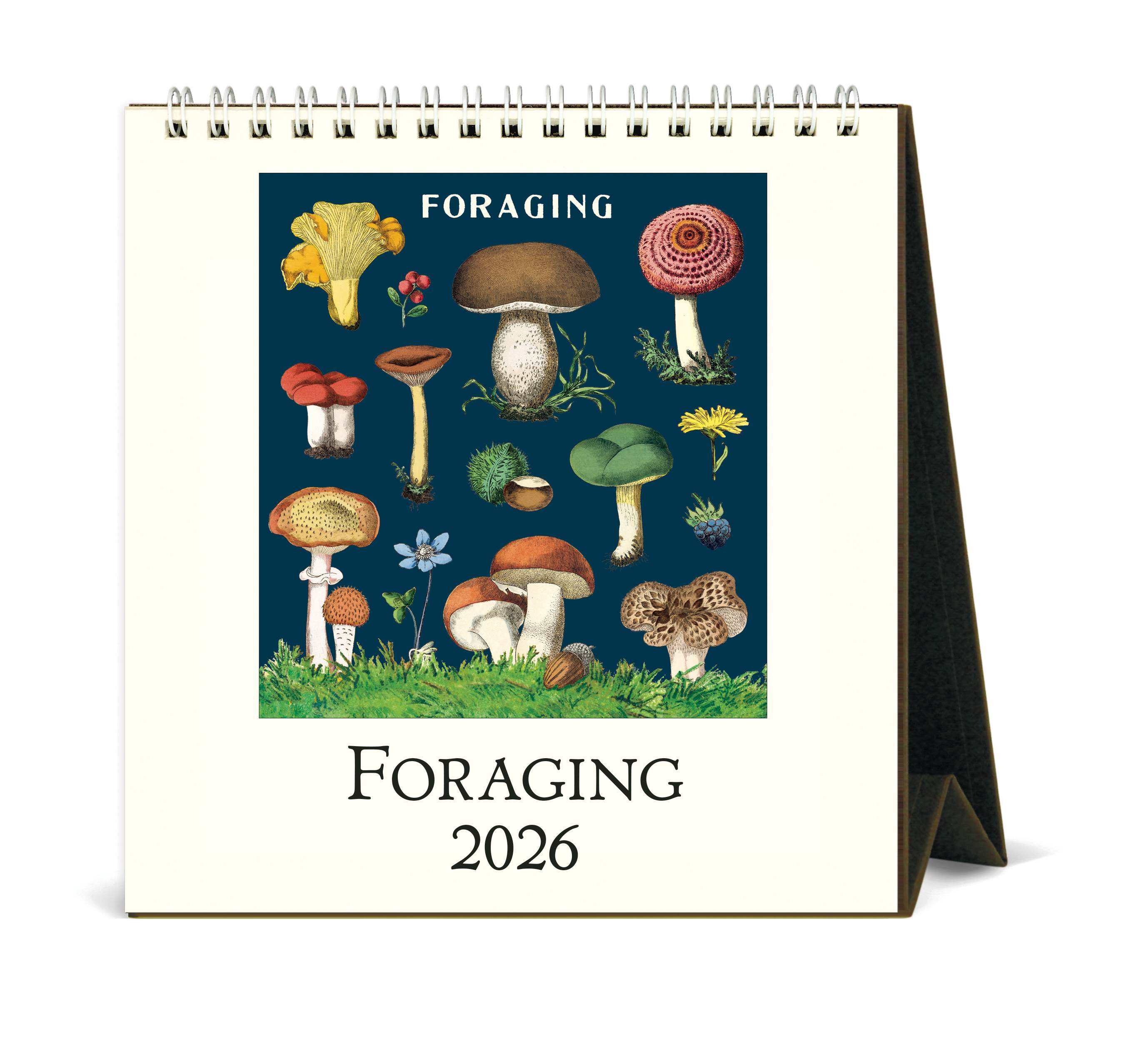 Desk Calendar - Foraging