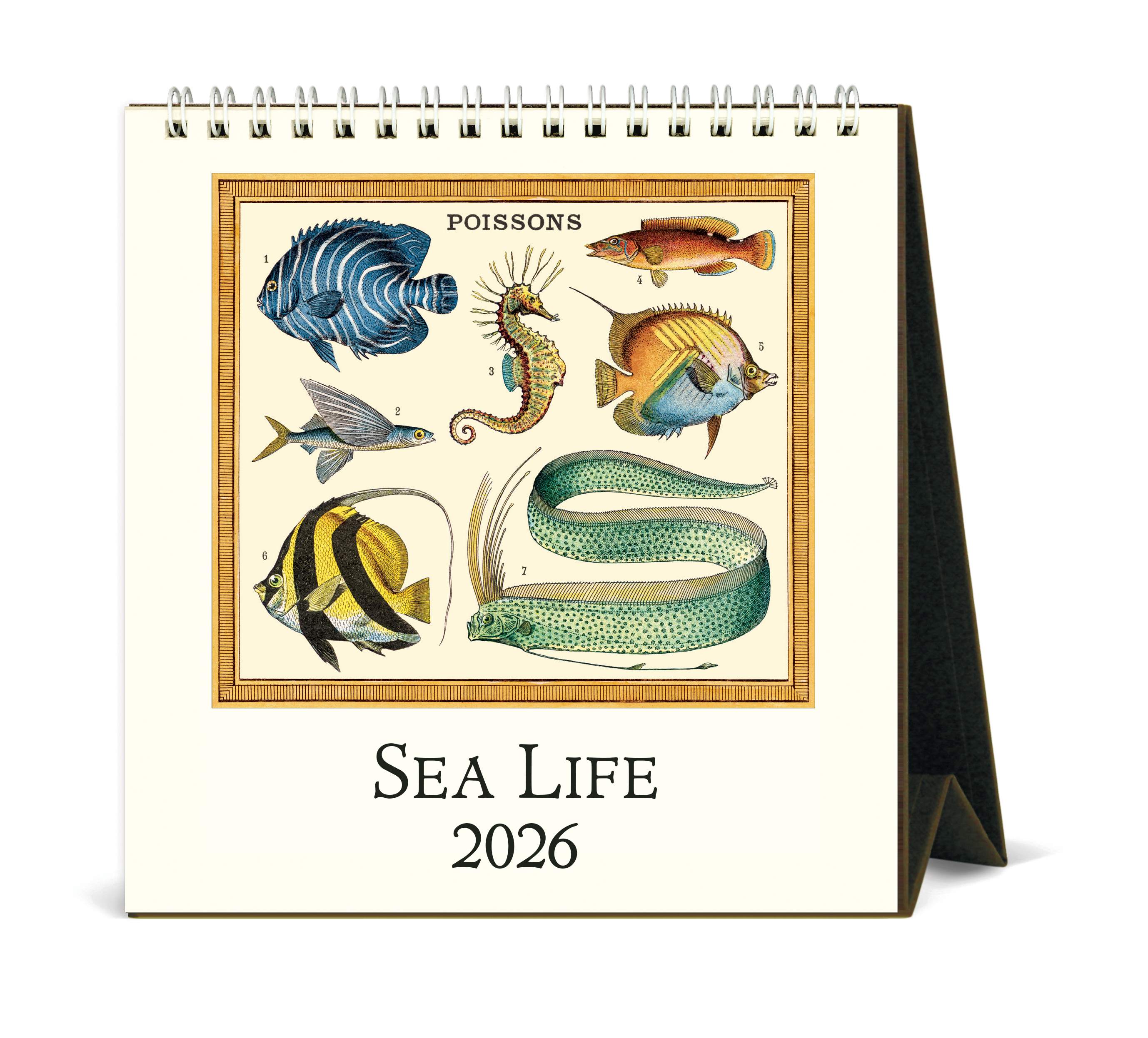 Desk Calendars - Sea Life
