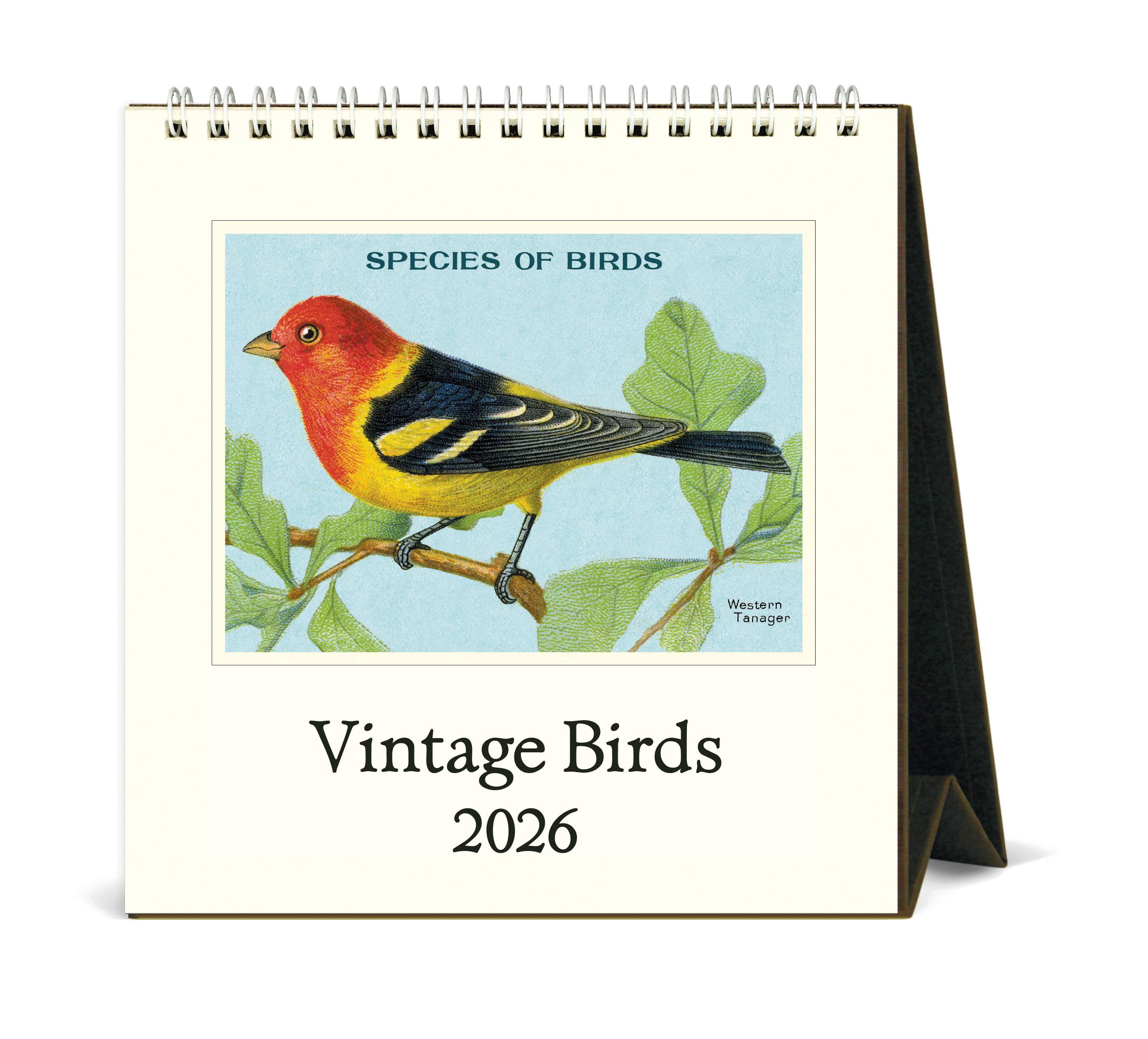 Desk Calendar - Vintage Birds