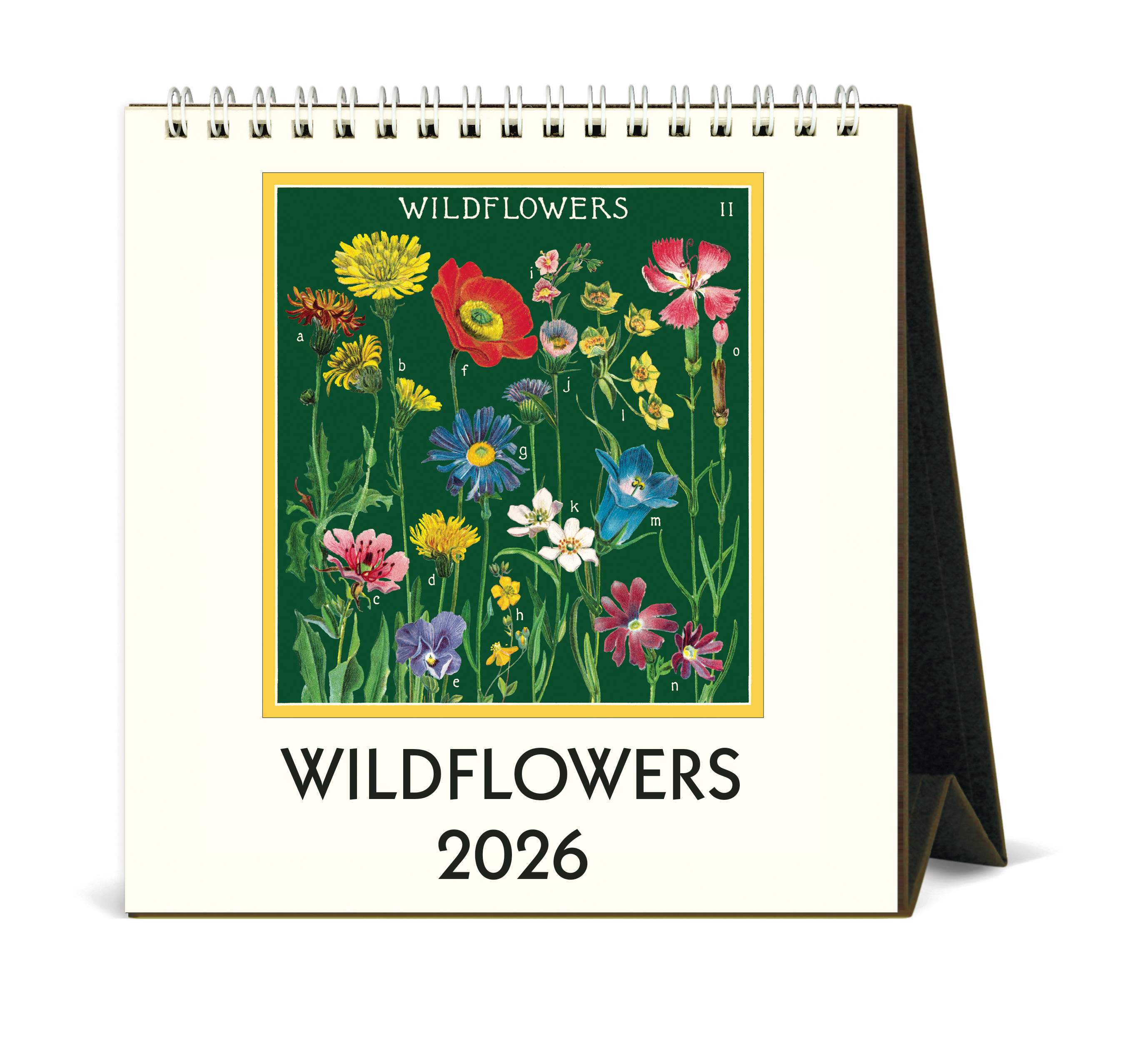 Desk Calendar - Wildflowers
