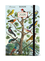 Diary - Birds