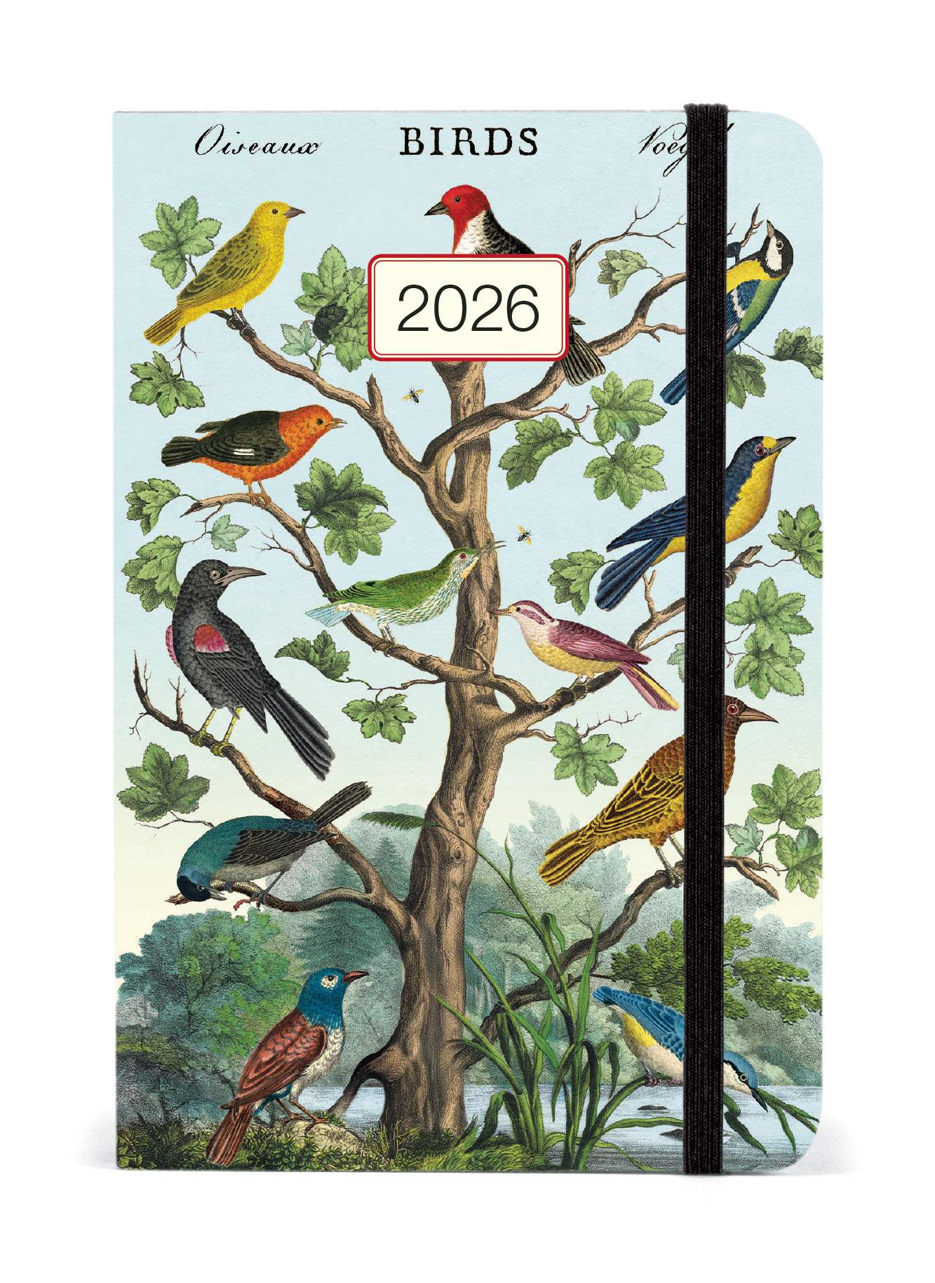 Diary - Birds