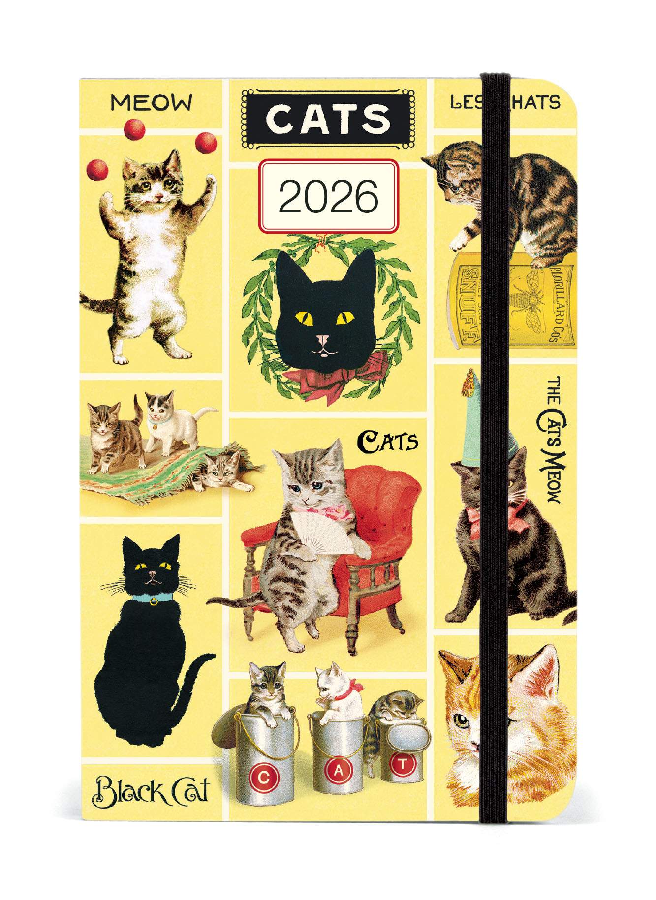 Diary - Cats