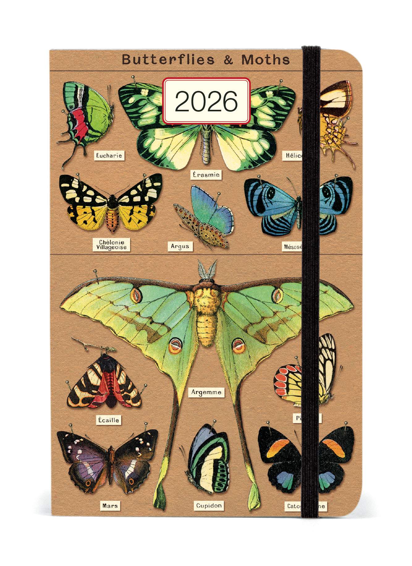 Diary - Entomology