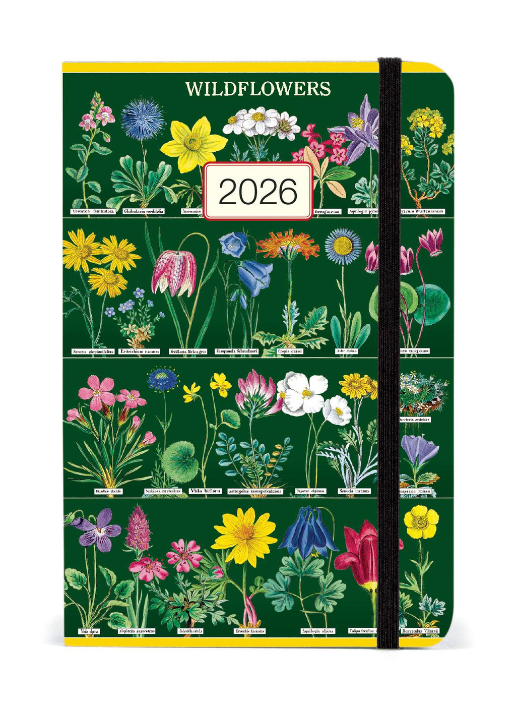 Diary - Wildflowers