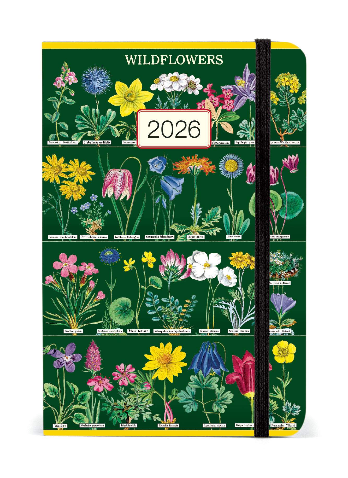 Diary - Wildflowers