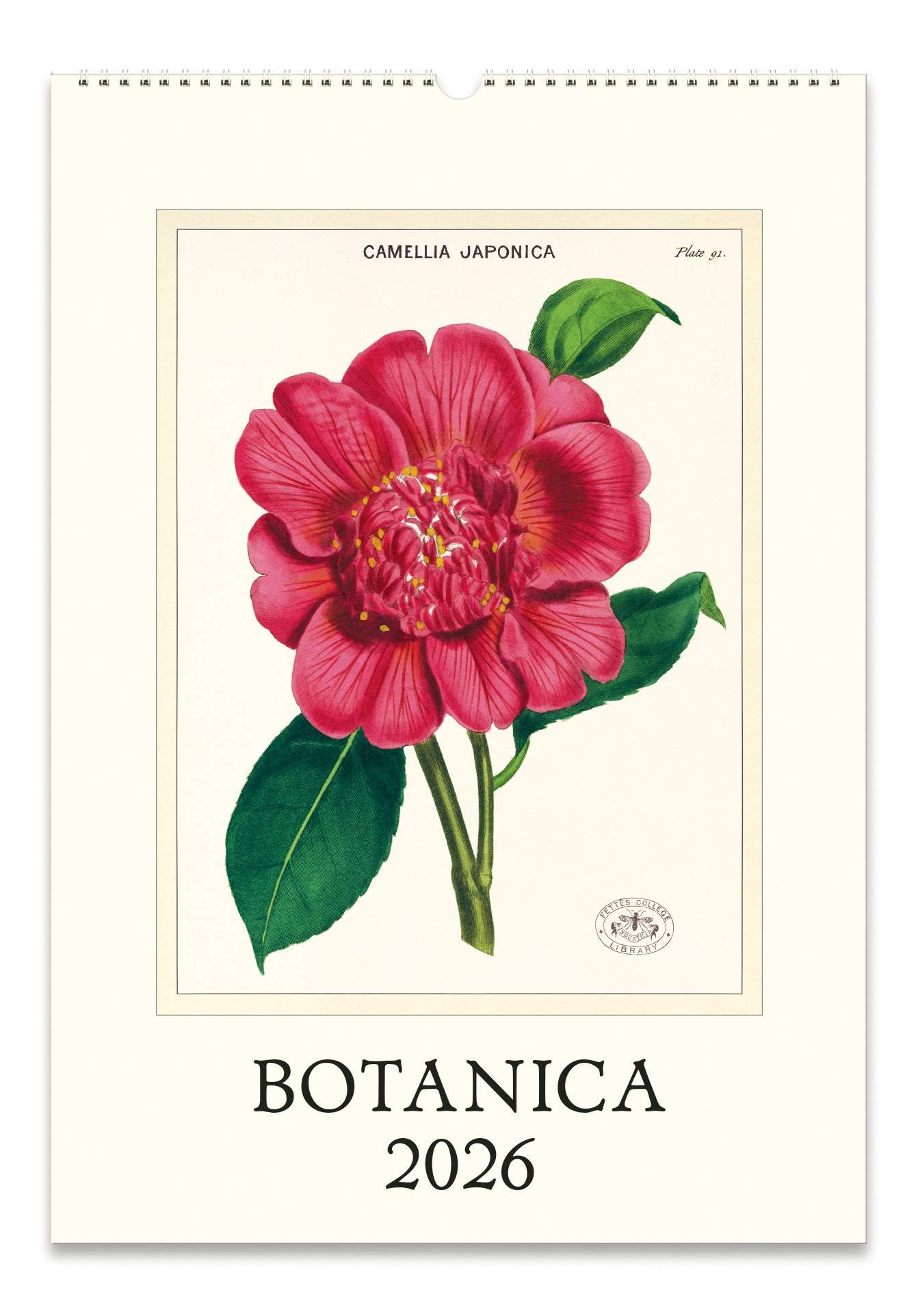 Wall Calendar - Botanica (C)