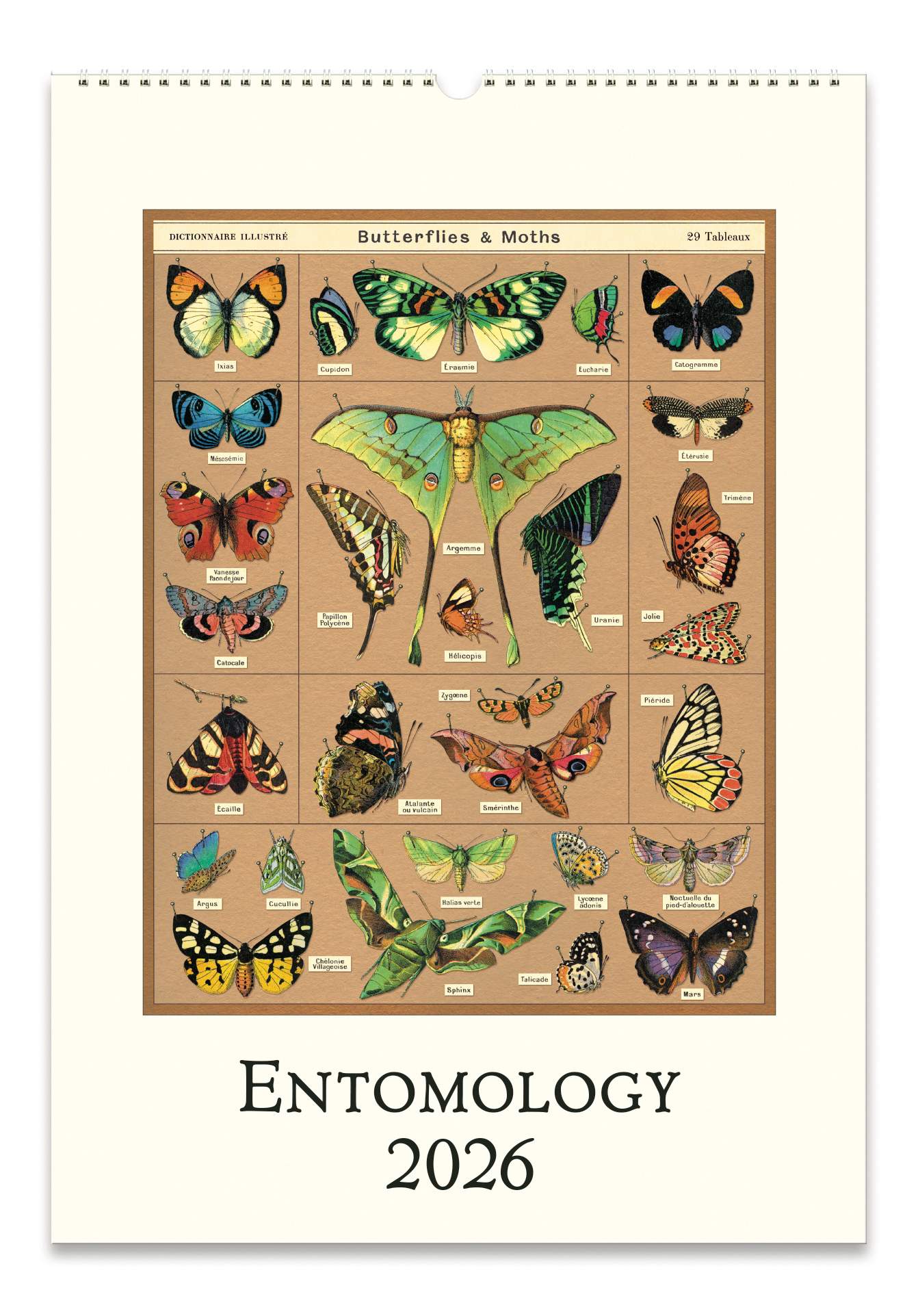 Wall Calendar - Entomology