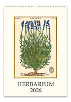 Wall Calendar - Herbarium