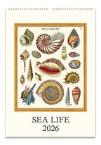 Wall Calendar - Sea Life