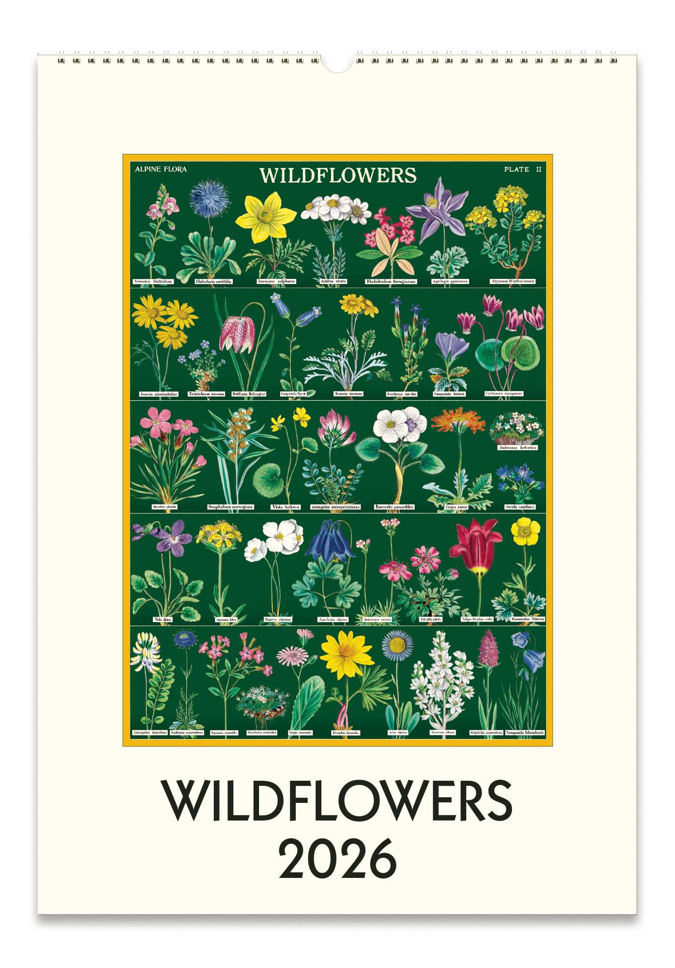 Wall Calendar - Wildflowers