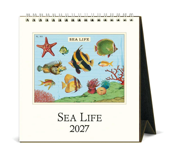 Desk Calendar - Sea Life
