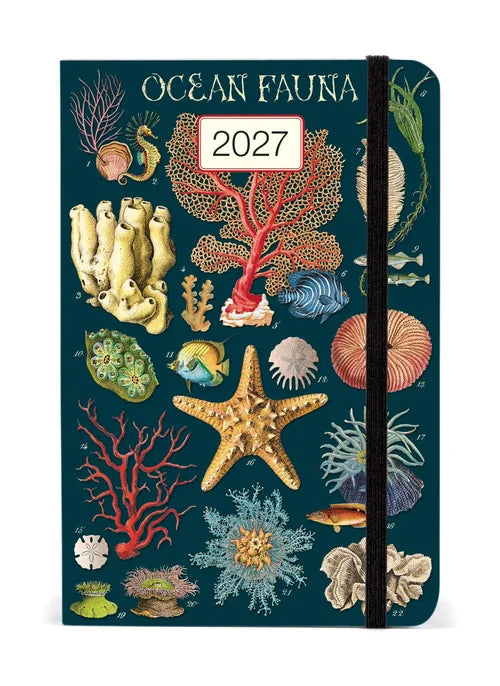 Diary - Ocean Flora