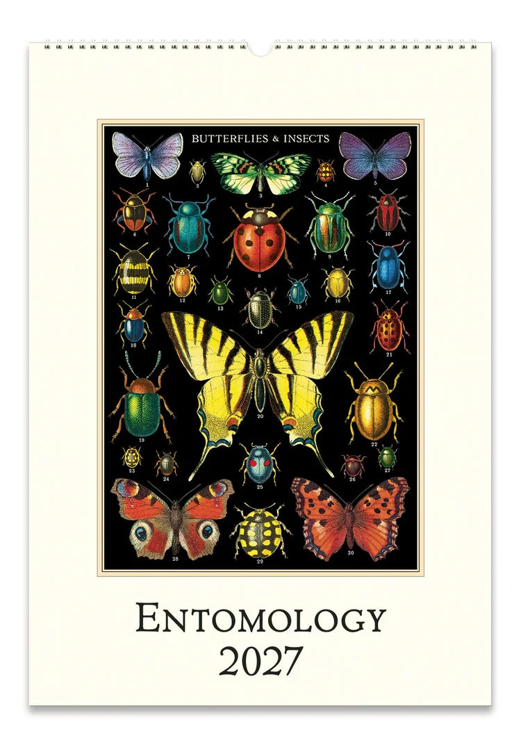Wall Calendar - Entomology