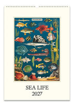 Wall Calendar - Sea Life