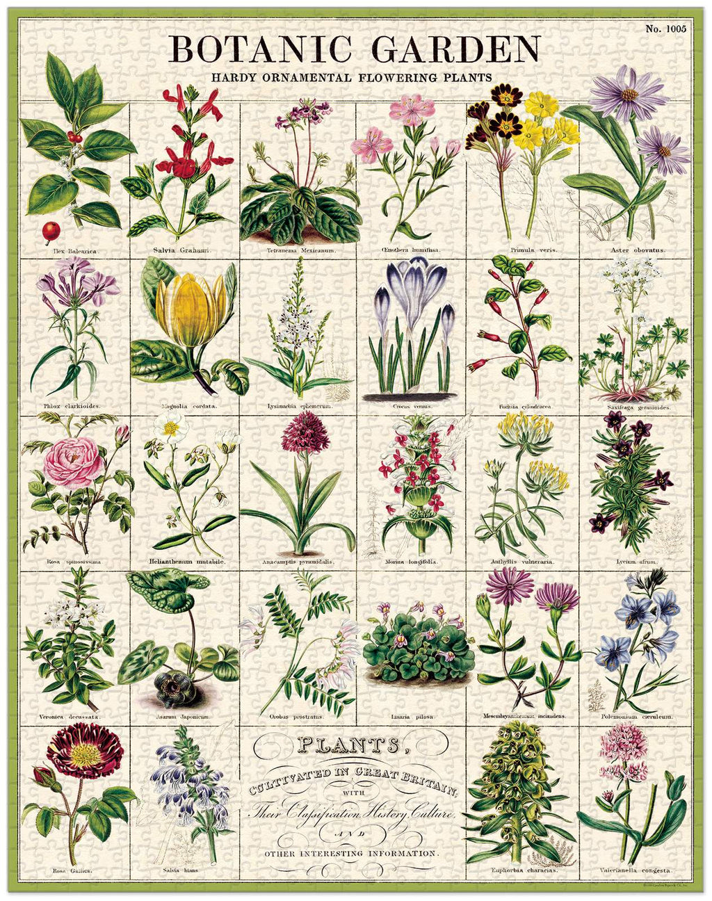Jigsaw Puzzle - Botanic Garden