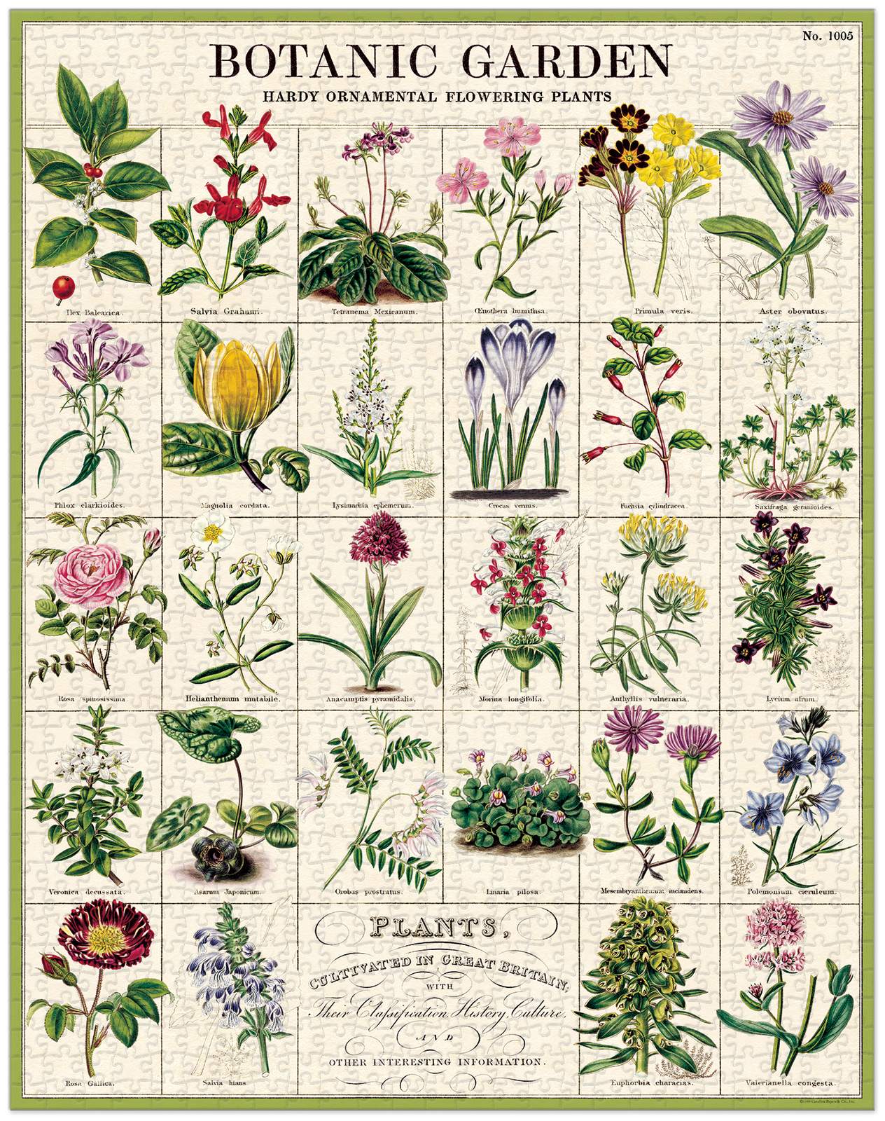 Jigsaw Puzzle - Botanic Garden