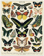 Jigsaw Puzzle - Butterflies